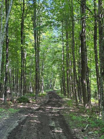139 Wildlife Ln, New Sharon, ME 04955