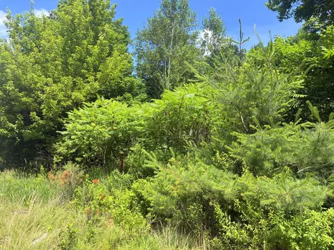 lot29 Auburn Rd, Peru, ME 04290