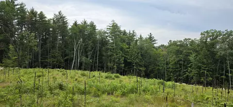 104 Smith Rd, Denmark, ME 04022 photo 6