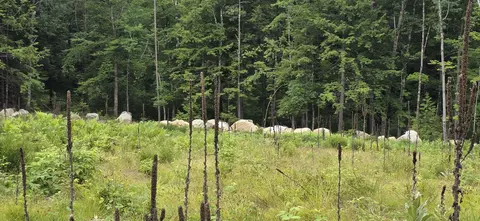 104 Smith Rd, Denmark, ME 04022 photo 8