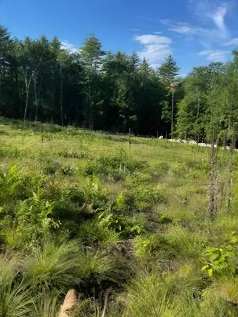 104 Smith Rd, Denmark, ME 04022 photo 2