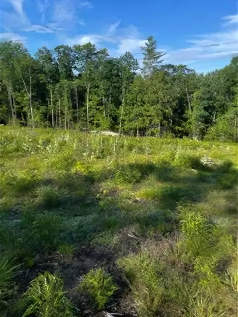 104 Smith Rd, Denmark, ME 04022 photo 3