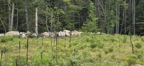 104 Smith Rd, Denmark, ME 04022 photo 7