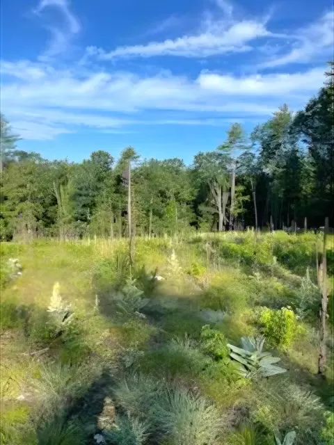 104 Smith Rd, Denmark, ME 04022 photo 4