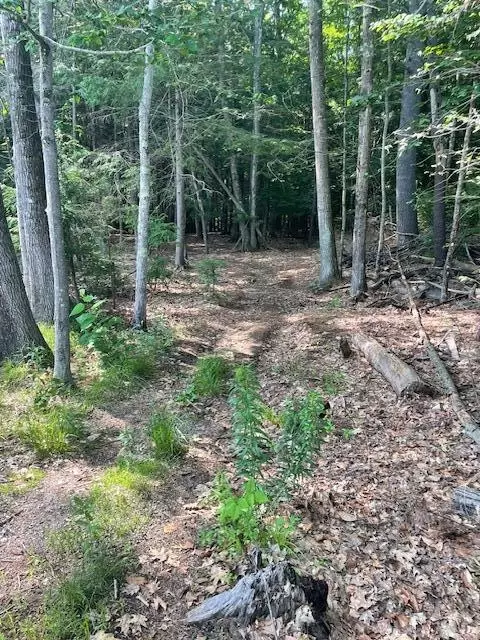 Other - 9 Gunpowder Mill Rd, Windham, ME 04062 photo 5 of 6