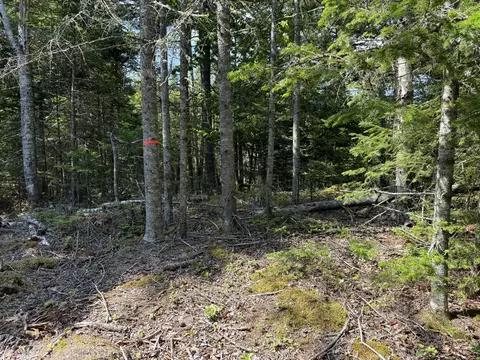 M6l21 Great Cove Road, Roque Bluffs, ME 04654