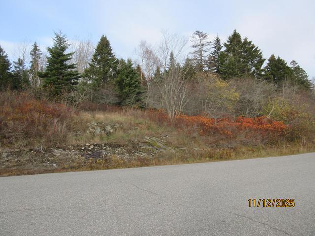 lot1 Smalls Point Rd, Machiasport, ME 04655