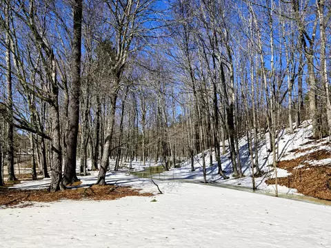 Other - 372 River Rd, Avon, ME 04966 photo 8 of 23