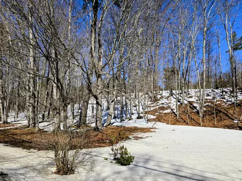 Exterior - 372 River Rd, Avon, ME 04966 photo 7 of 17