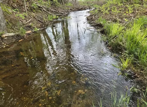 View/Area - 372 River Rd, Avon, ME 04966 photo 1 of 1