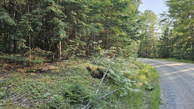 01- Lot 26 County Rd, Greenfield Twp, ME 04461
