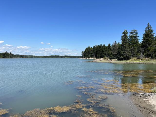 86 Back Shore Rd, Steuben, ME 04680