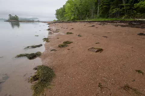 Other - 21 Red Beach Ln, Calais, ME 04619 photo 4 of 12