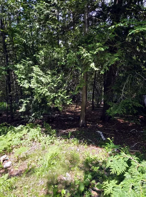123 Cedar St, Millinocket, ME 04462 photo 14