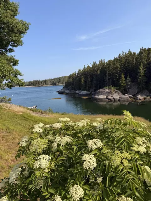 View/Area - 20 Sailors Way, Vinalhaven, ME 04863 photo 3 of 10