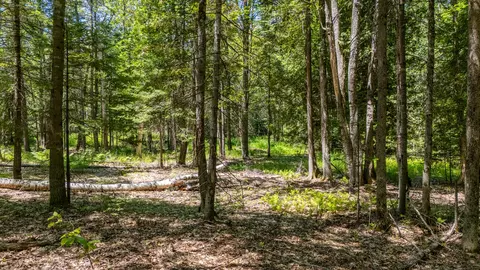 lot1 River Rd, Woolwich, ME 04579 photo 17