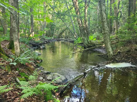 36 Ladd Rd, Sebec, ME 04481 photo 2