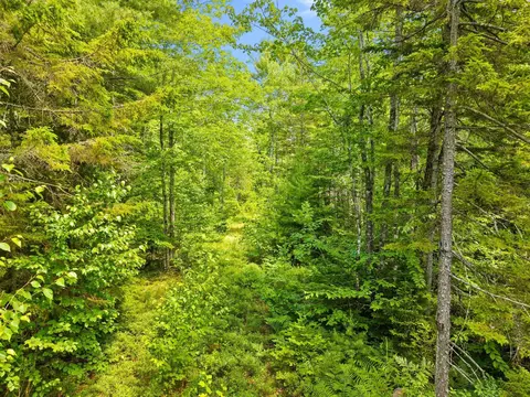 0 Catamount Rd, Sullivan, ME 04664 photo 17