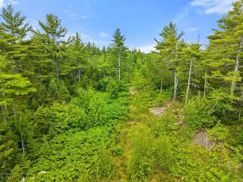 0 Catamount Rd, Sullivan, ME 04664 photo 19