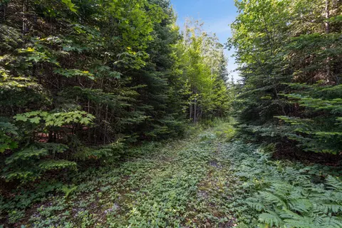 lot2 26 Overlook Dr, Eustis, ME 04936 photo 6