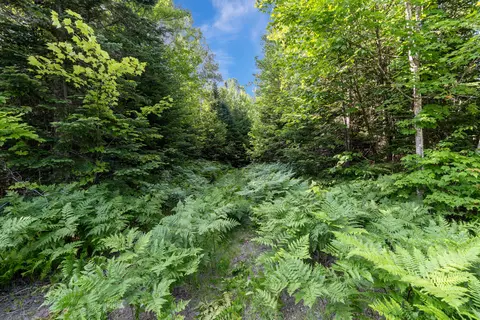 lot2 26 Overlook Dr, Eustis, ME 04936 photo 7