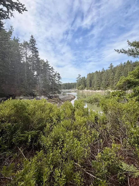 0 Young Rd, Vinalhaven, ME 04863 photo 3