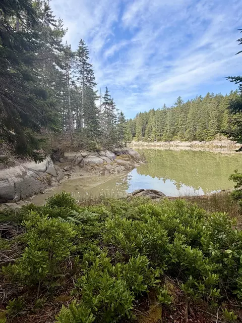 0 Young Rd, Vinalhaven, ME 04863 photo 7