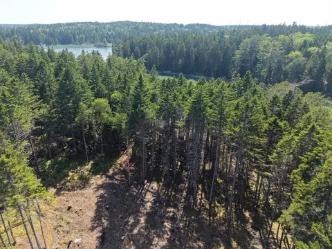 0 Young Rd, Vinalhaven, ME 04863 photo 8