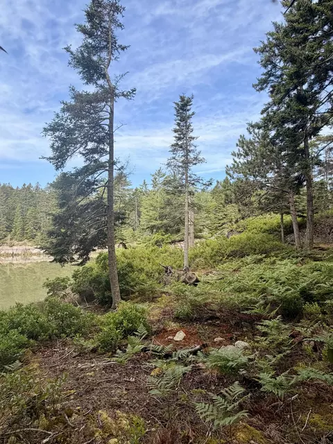 0 Young Rd, Vinalhaven, ME 04863 photo 6