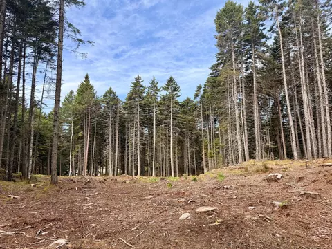 0 Young Rd, Vinalhaven, ME 04863 photo 4