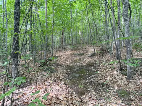 tbd Map Fr 028 Plan 01 #LOT 19, Washington Twp, ME 04294