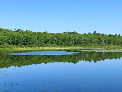 00 Lowerfal Lower Falls Rd, Orland, ME 04472