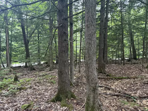 R1 L10a Hovey Road, Farmington, ME 04938