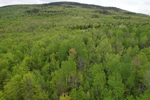 9 Final Dr, Kingfield, ME 04947 photo 4