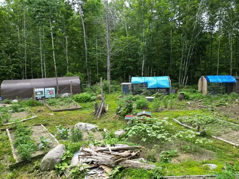Exterior - 135 Clearcut Lodge Rd, Springfield, ME 04487 photo 2 of 10
