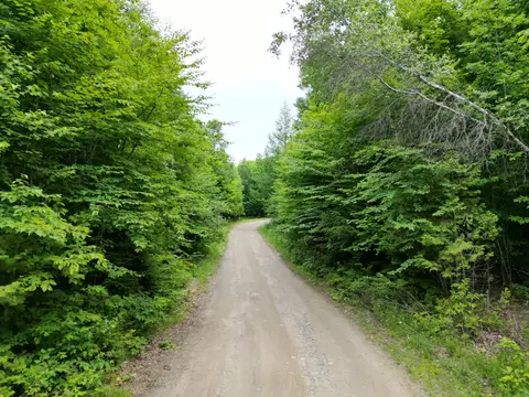 Other - 135 Clearcut Lodge Rd, Springfield, ME 04487 photo 6 of 7