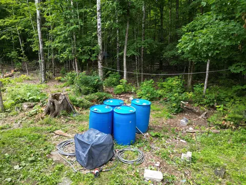 Exterior - 135 Clearcut Lodge Rd, Springfield, ME 04487 photo 8 of 10