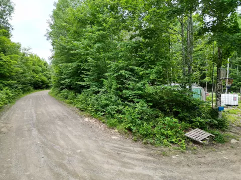 Other - 135 Clearcut Lodge Rd, Springfield, ME 04487 photo 7 of 7