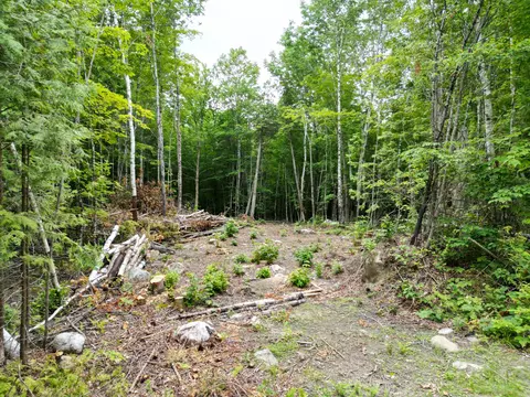 Exterior - 135 Clearcut Lodge Rd, Springfield, ME 04487 photo 6 of 10