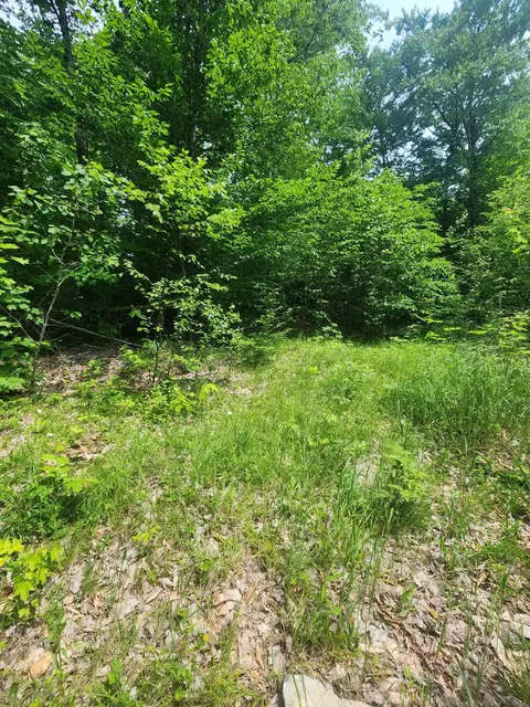 lot Apt 44 Mill Hill Rd, Springfield, ME 04487 photo 8