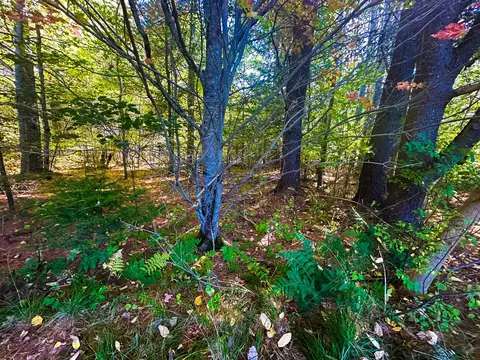 60 Constitution Ave, Hampden, ME 04444 photo 5