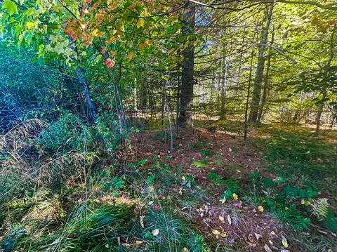 60 Constitution Ave, Hampden, ME 04444 photo 6
