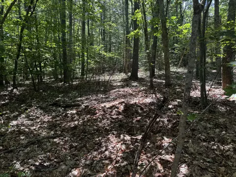 64 Natanis Ridge Cir, Wells, ME 04090