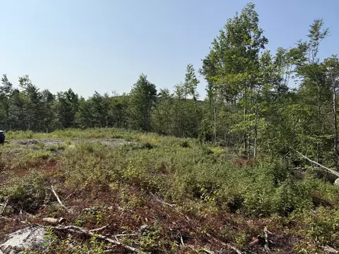 tbd Oak Mountain Rd, Springfield, ME 04487 photo 2