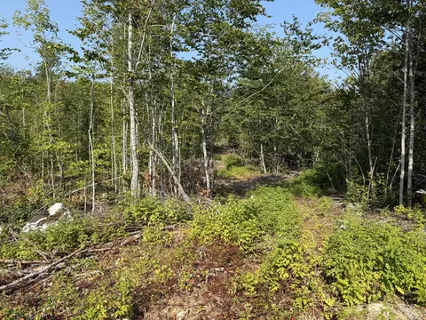 tbd Oak Mountain Rd, Springfield, ME 04487 photo 4
