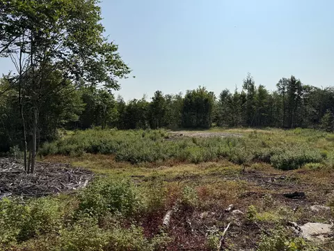 tbd Oak Mountain Rd, Springfield, ME 04487 photo 1