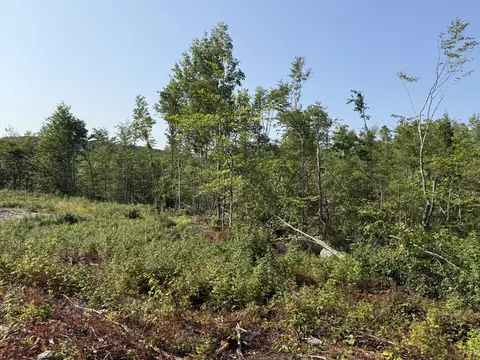 tbd Oak Mountain Rd, Springfield, ME 04487 photo 3
