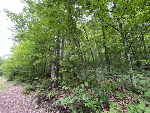 0 Mulligan Ln, Newry, ME 04261