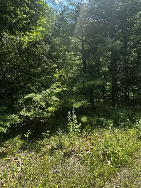 25 Cottage Ln, Orland, ME 04472