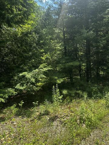 25 Cottage Ln, Orland, ME 04472